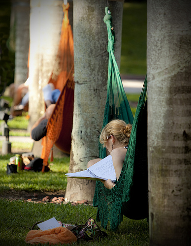 people-hammock-lined-up.jpg