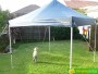 Assembled OZTrail Deluxe Gazebo